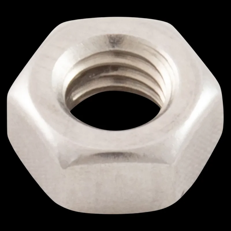 Pentair 152167 Stainless Steel M6x1 Hex Nut