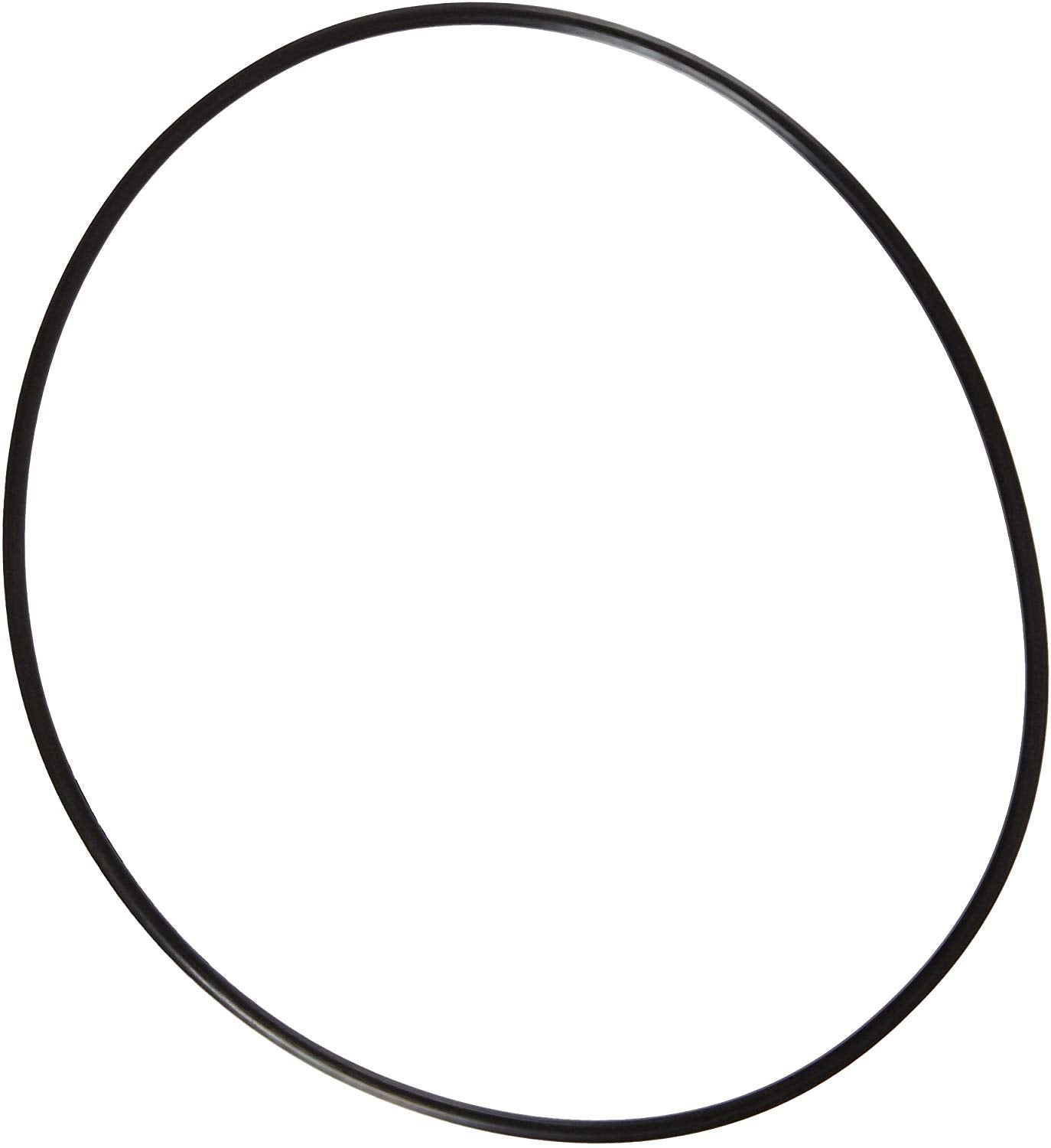 Pentair HiFlo TM/SM MPV Top O-Ring