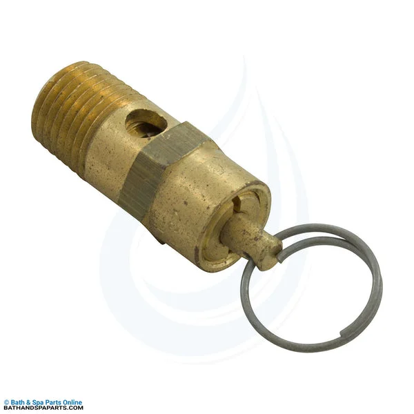 Pentair EQ Series 1/4″ MPT Pressure Relief Valve (350087Z)