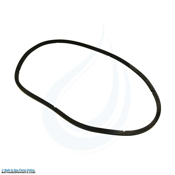 Pentair EQ Series Hair & Lint Strainer Lid Square Ring (350166Z)