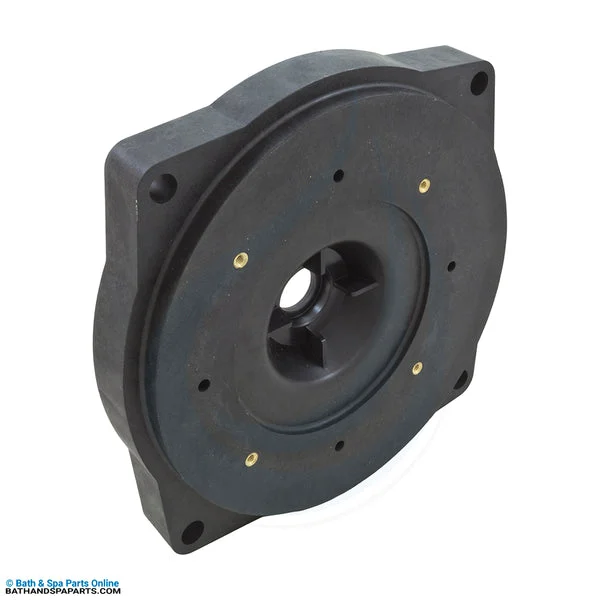 Pentair EQ Series Seal Plate Replacement (356795Z)