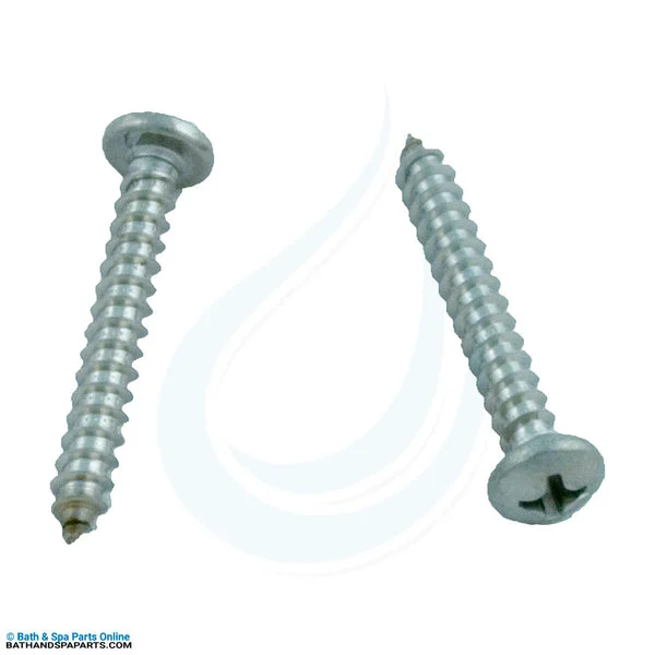 Pentair Letro Legend Cleaners Shroud Screw Qty 2 (EU80)