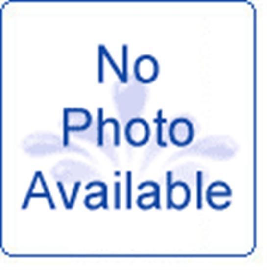 Pentair Quick Disconnect Swivel - LD41