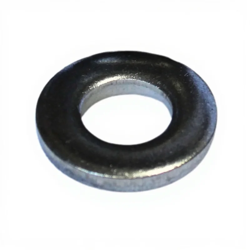 Pentair WhisperFlo & IntelliFlo Stainless Steel Washer 1/4" x 5/8"Part 072183