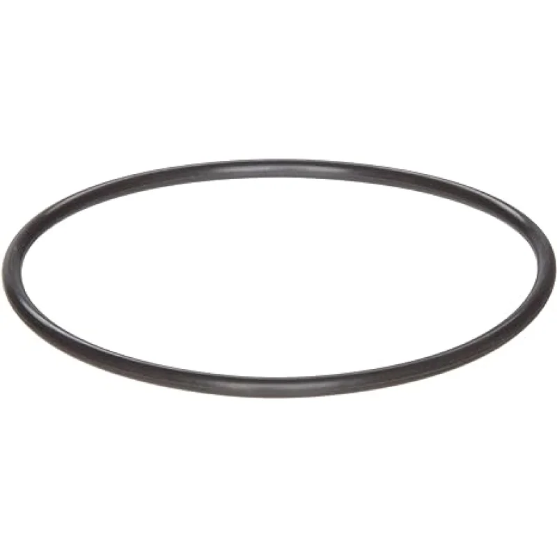 Polaris Booster Pump w/ 60 Hz Motor O-Ring, Backplate, PB4-60 || R0536600