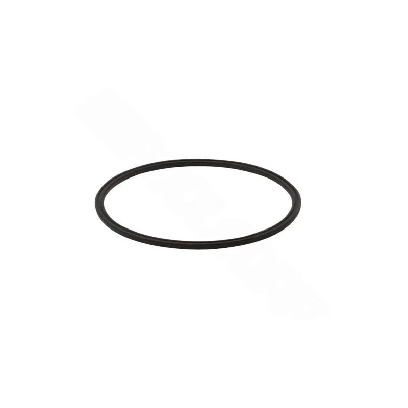 Polaris R0623300 Seal for CLC500 Zodiac Cyclonic Leaf Catcher