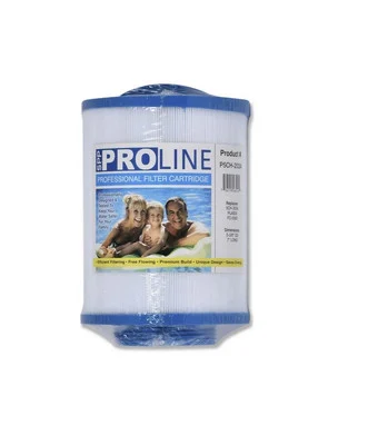 ProLine Spa Filter Cartridge P5CH-203A
