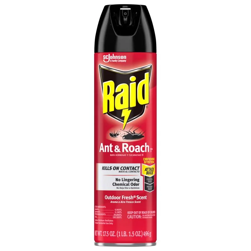 Raid Insect Killer Aerosol 17.5 oz