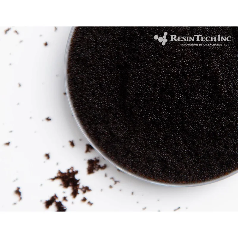 Resintech CGS-100-BLK 1 cu ft Standard Mesh Resin