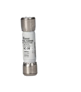 SC-30 Main 30 Amp Slow Blo Fuses 6-Pack
