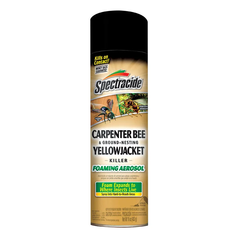 Spectracide Insect Killer Foam 16 oz