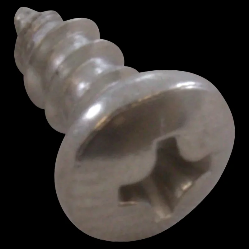 Sta-Rite 37207-0825 Pan Head Screw for U-3 Skimmer