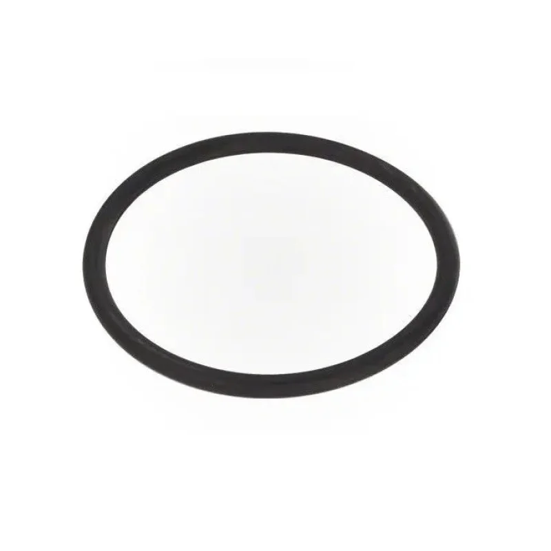 Vision Pro Z-Pack O-Ring