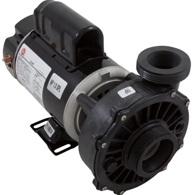 Waterway 1HP 115V 2-Speed Pump 3420410-10