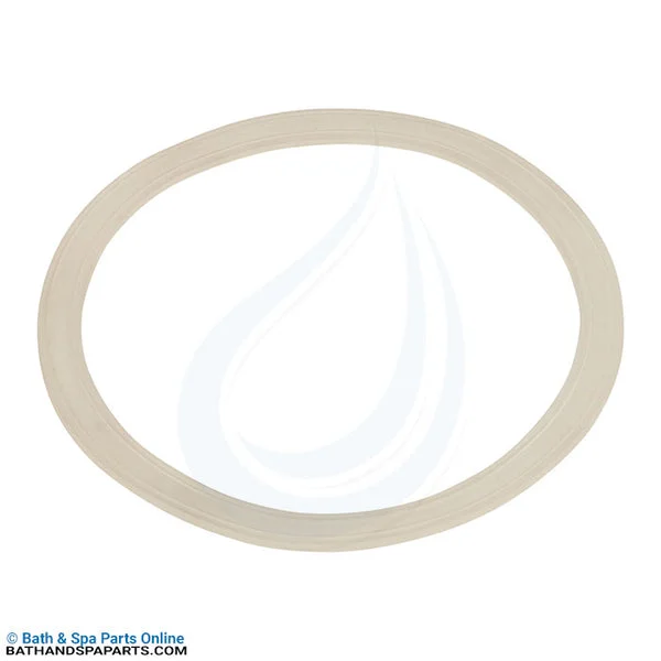 Waterway Plastics Gasket For Jumbo Jet (711-7000)