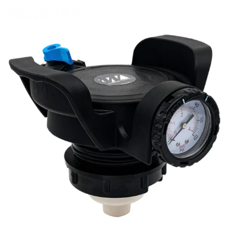 Waterway Pressure Relief Valve Assembly | 550-6730